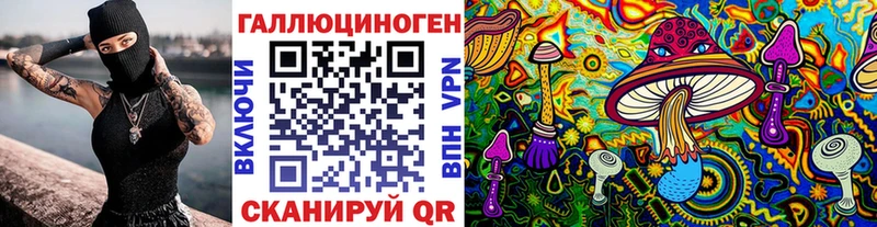KRAKEN ONION  Ковров  Псилоцибиновые грибы мицелий 